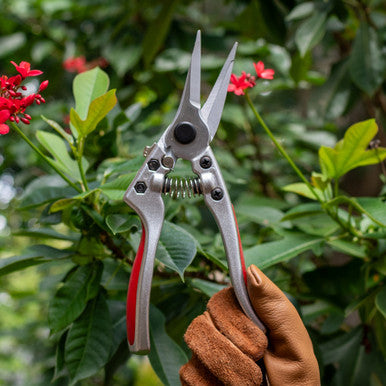 Long Needle Nose Secateurs