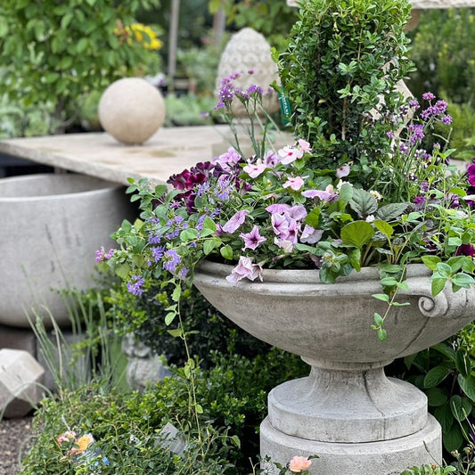 Why You Should Choose an Independent Garden Center Over a Big Box Store