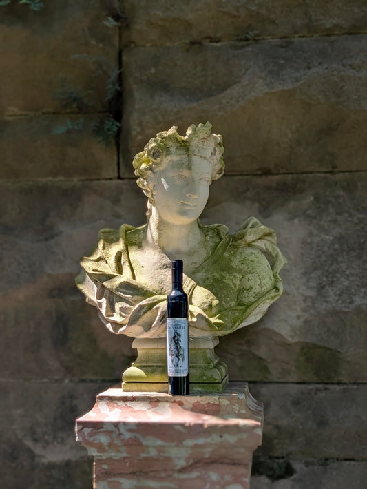 Wine Bottle Umbrella - Château Chevalière Bordeaux
