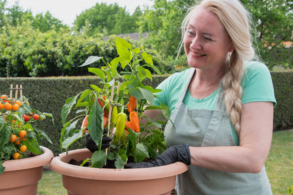 Woman gardening with a potted plant on the patio
