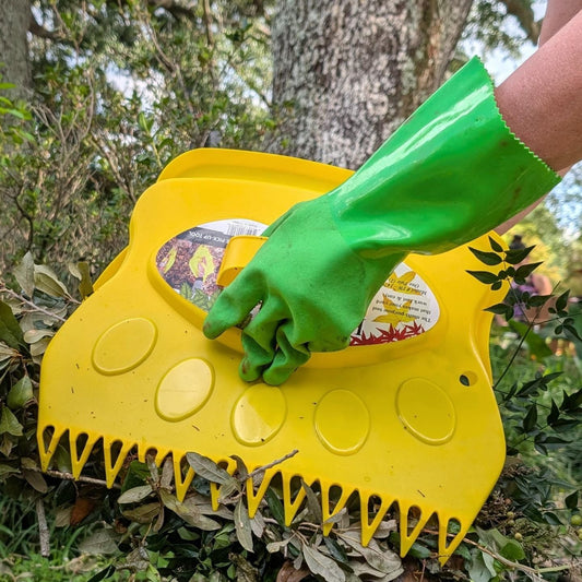 The Essential Guide to Cleaning Up Your Yard After a Hurricane: Tools and Tips for an Efficient Recovery
