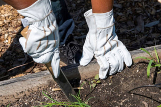 Caring for Your High-Quality Garden Tools: A Comprehensive Guide