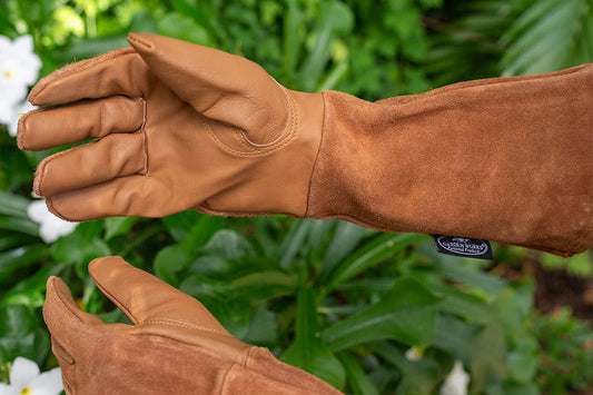 The Best Leather Gardening Gloves and When to Use Them