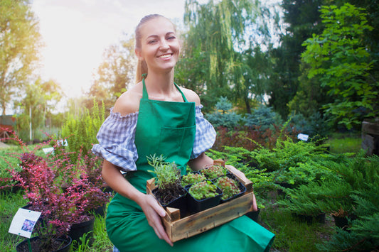 How to Make Your Garden Center Instagrammable: Tips for Creating a Social Media-Worthy Space