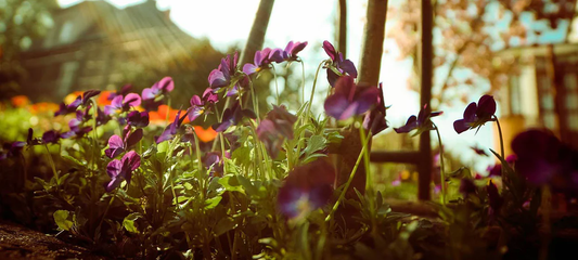 Spring Into Rain!