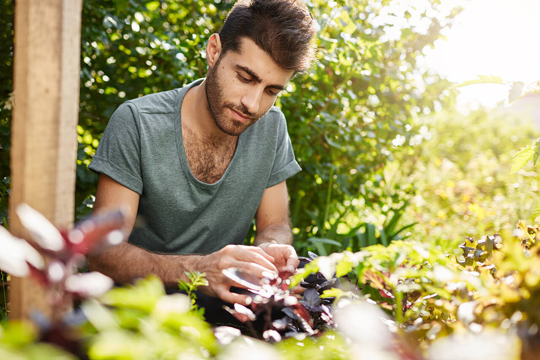 Gardening as Self-Care: Why Young People Are Finding Their Green Thumbs