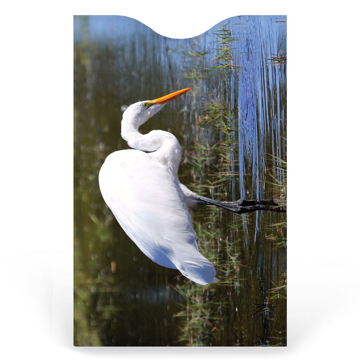 Coastal Birds RFID Card Sleeves, 6 Pack