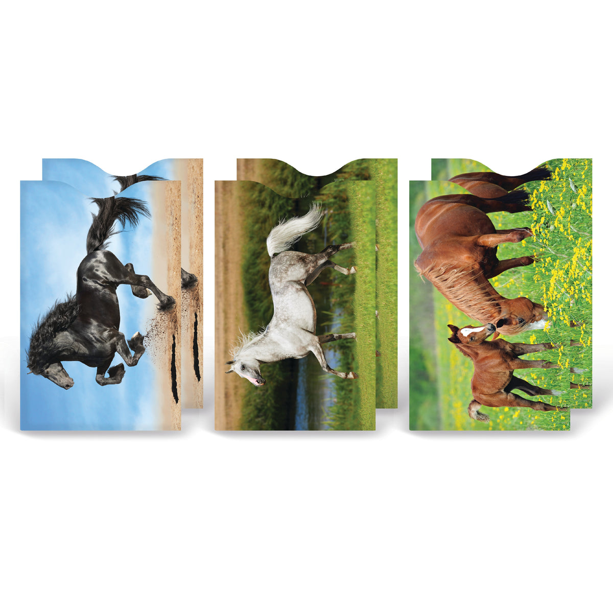 Horses 6-pack armored card sleeves