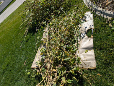 Garden Leaf Tarp