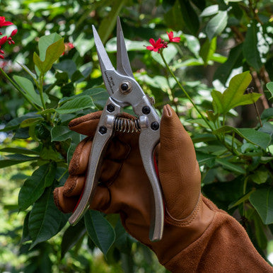 Long Needle Nose Secateurs