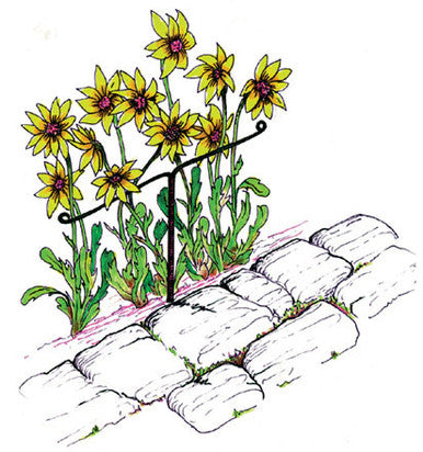 Garden Works Y-Stakes™
