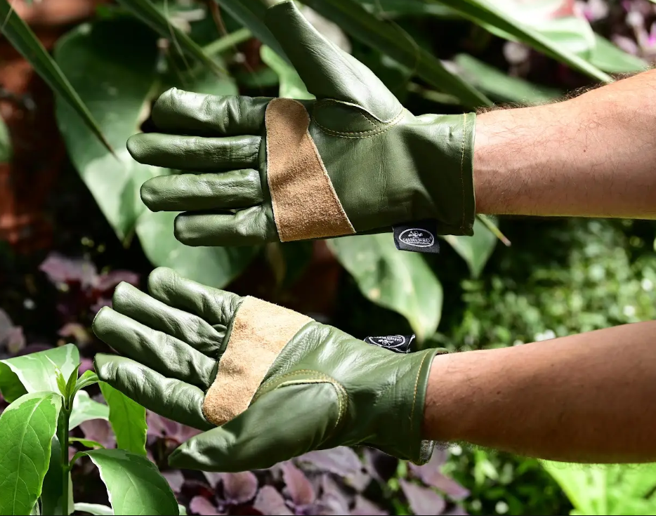 Forest Forged Gloves