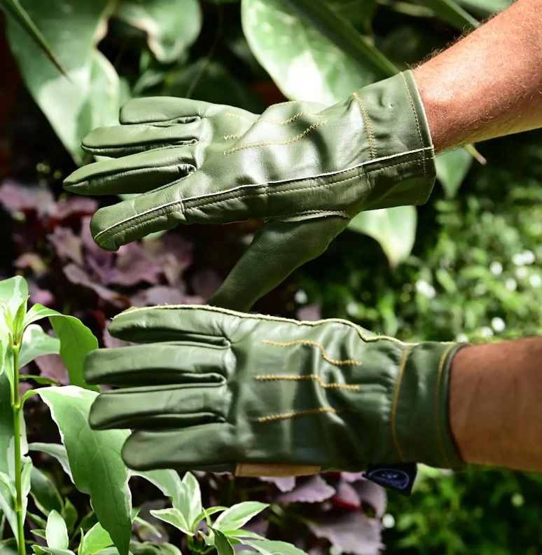 Forest Forged Gloves