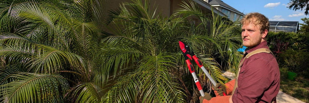 Fall cleanup with telescoping loppers