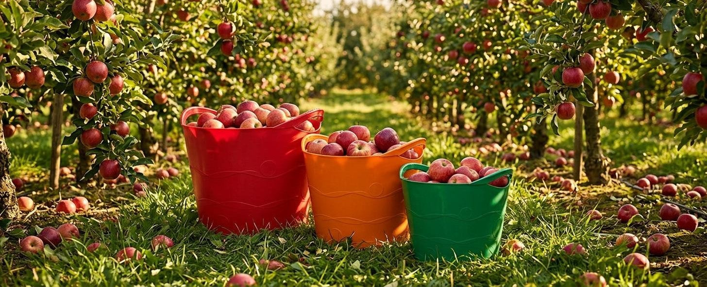 Tuff Totes orchard harvest