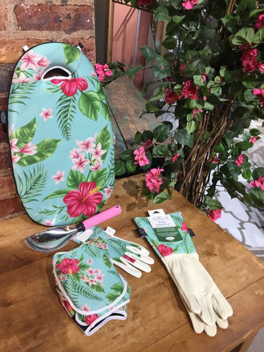 Palm Gift Set