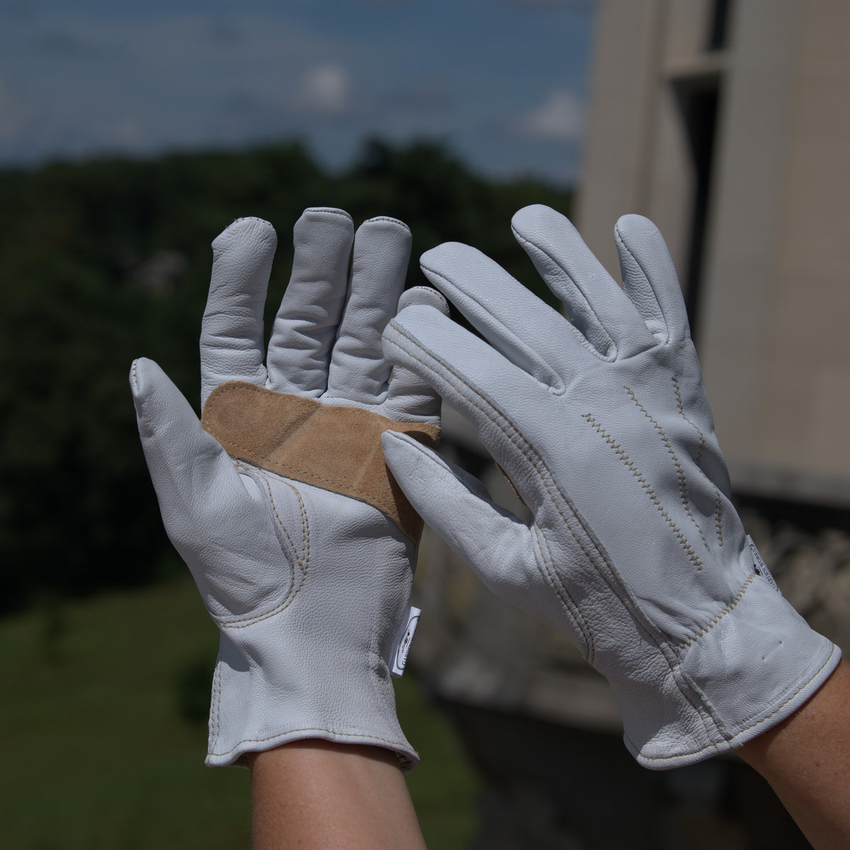 Leather Mates Gloves