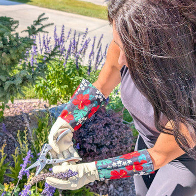 Long Needle Nose Secateurs