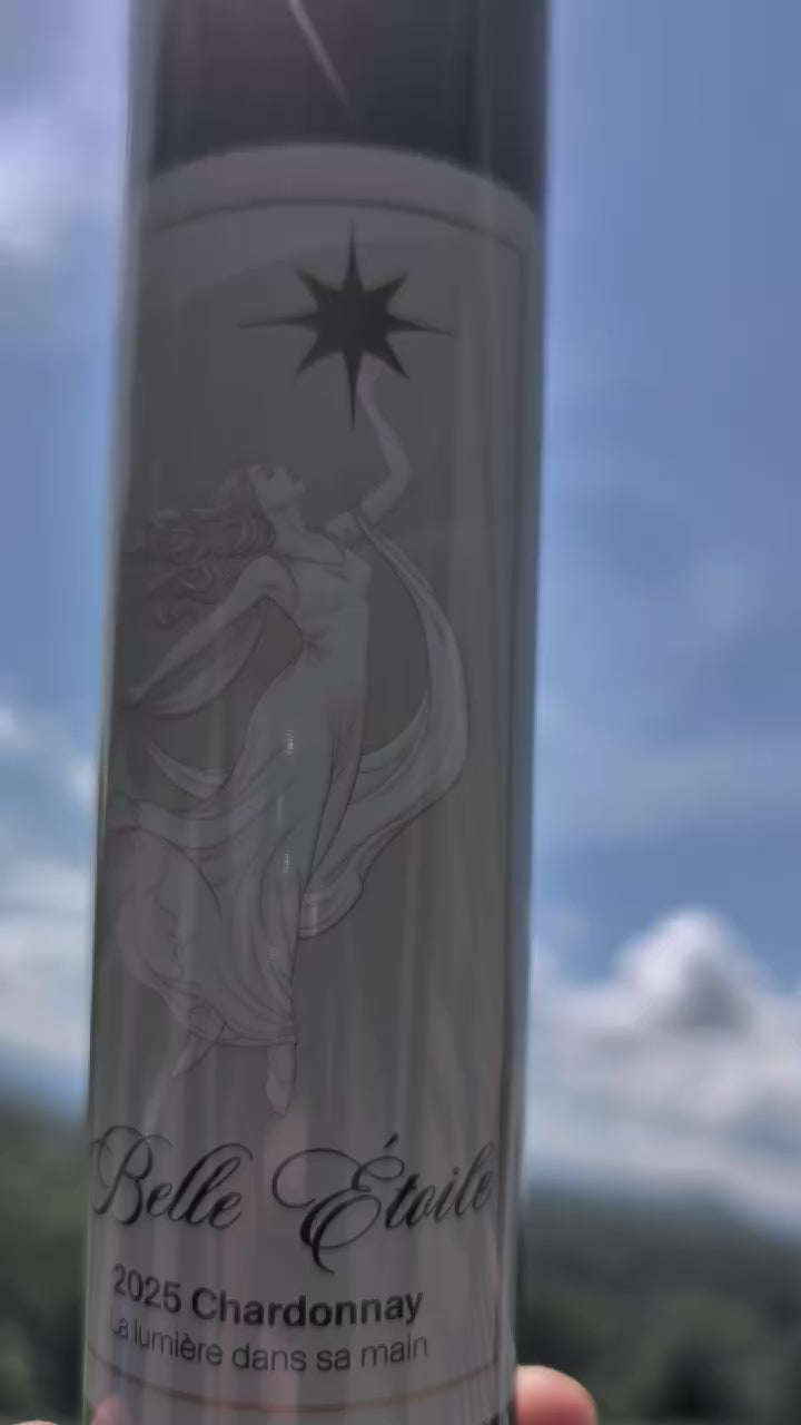 Wine Bottle Umbrella - Belle Étoile Chardonnay