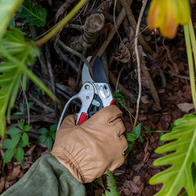 Heavy Duty Ratchet Pruner | Effortless Cutting, Ergonomic Design, Lifetime Guarantee
