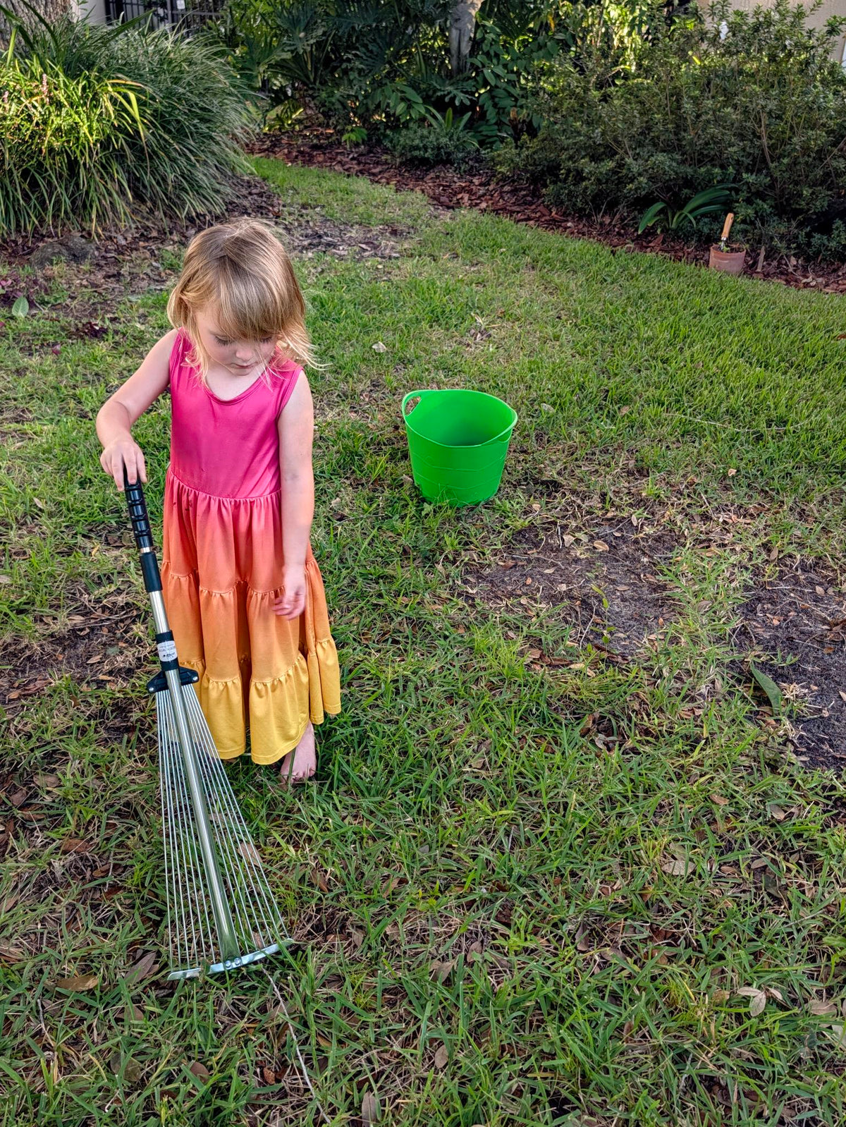Telescopic Leaf Rake — lifestyle