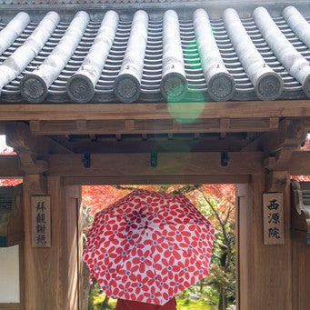 Cherry Pop Red Floral Bottle Umbrella