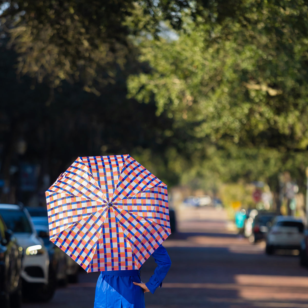 Vinrella Umbrella in a Bottle - Checkers — lifestyle