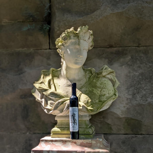 Wine Bottle Umbrella - Château Chevalière Bordeaux