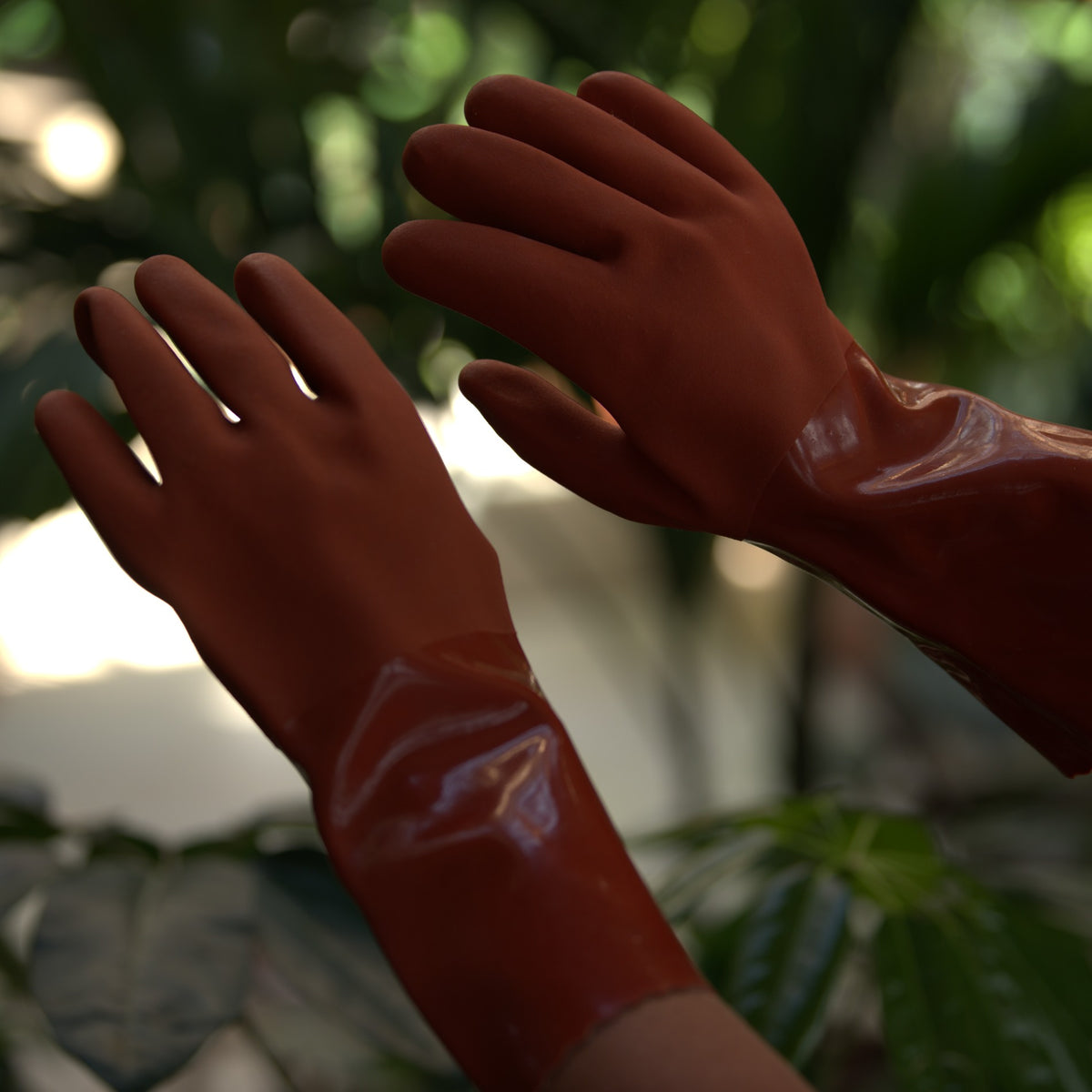 Wonder Gloves