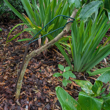 Garden Works Y-Stakes™